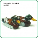 Romantic Duck Pair